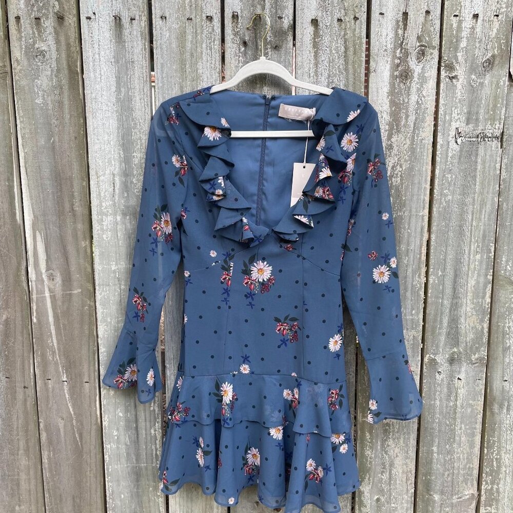 Keepsake Run Free Floral Print Ruffled Dress Blue Size XS Long Sleeve New